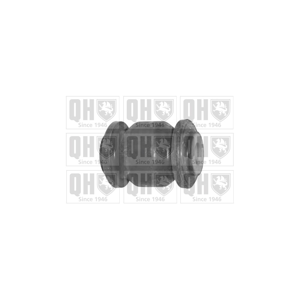 Image for QH EMS8440 Suspension Arm Bush - Front Lower LH & RH (Front)