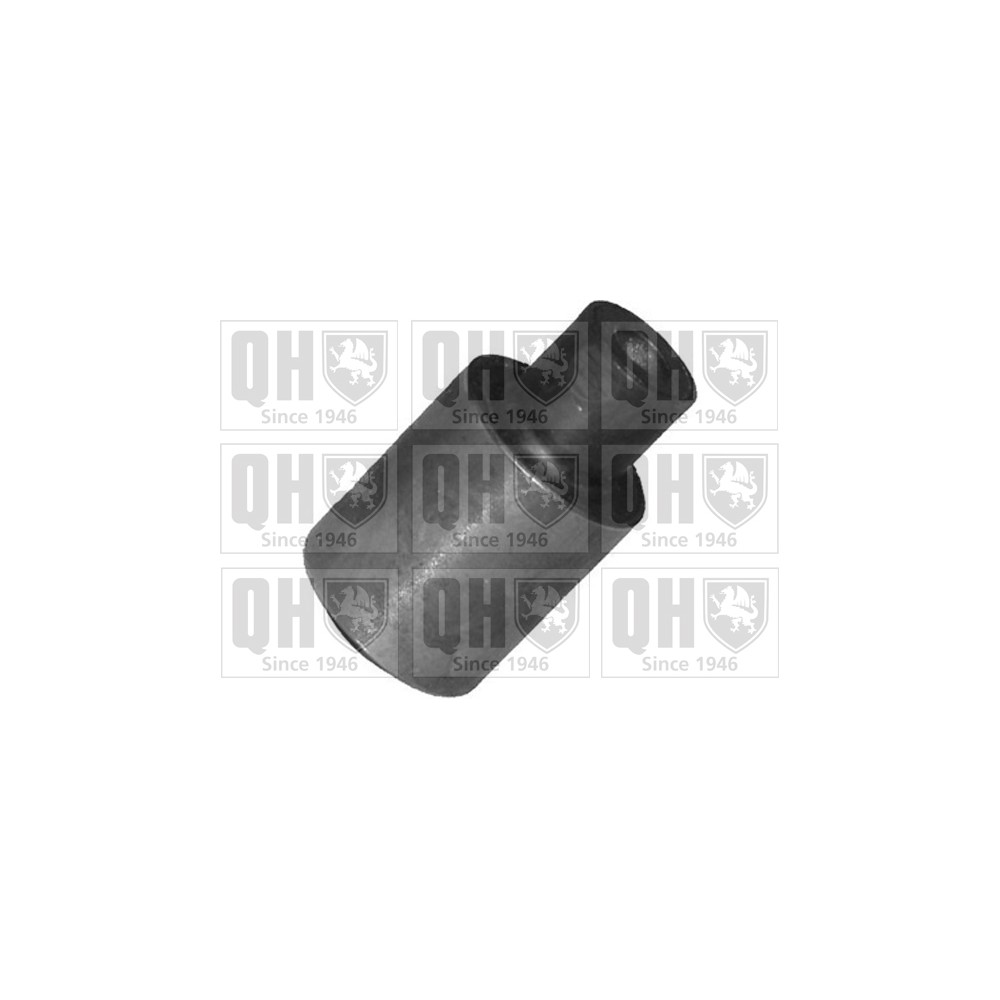 Image for QH EMS8039 Suspension Arm Bush - Front Lower LH & RH (Outer)