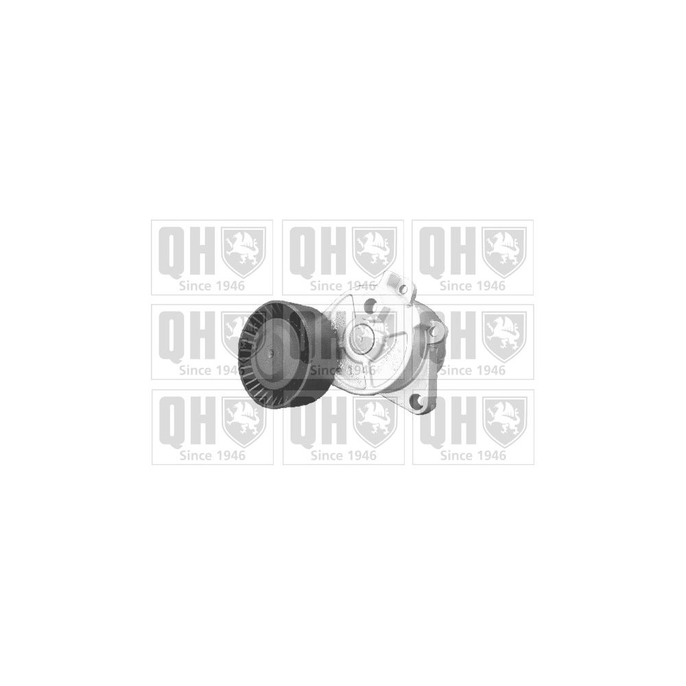 Image for QH QTA918 Drive Belt Tensioner