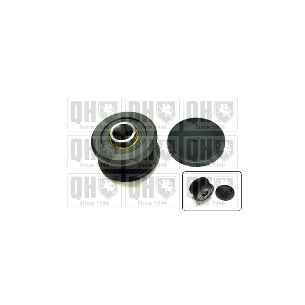 Image for Free Wheel Clutch Pulley