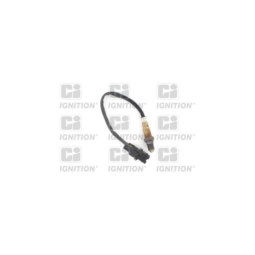 Image for Oxygen Sensor