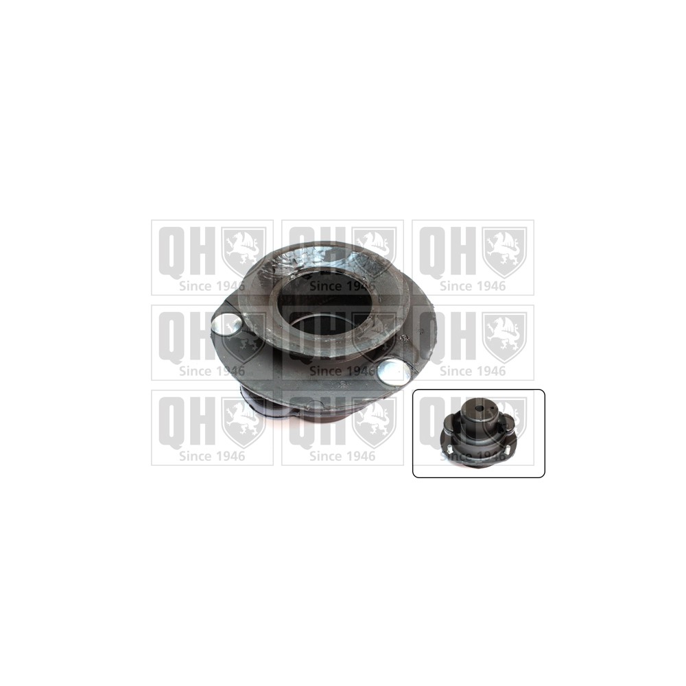 Image for QH EMR6070 Top Strut Mounting - Front exc.Bearing LH & RH