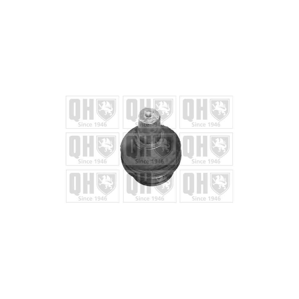 Image for QH QSJ3467S Ball Joint - Front Lower LH & RH