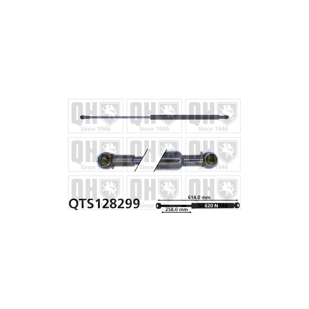 Image for QH QTS128299 Gas Spring