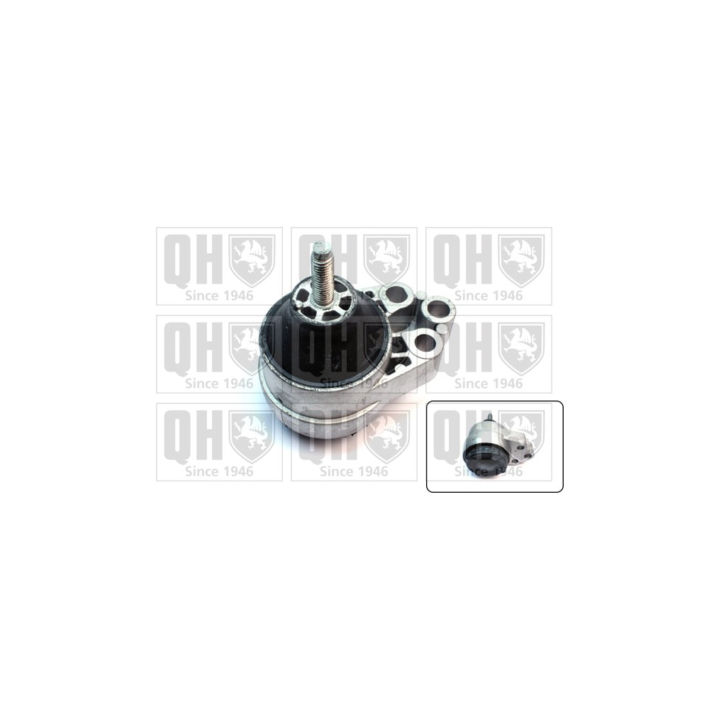 Image for QH EM4166 Engine Mounting