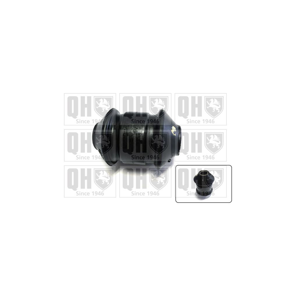 Image for QH EMS1864 Suspension Arm Bush - Front Lower LH & RH (Front)