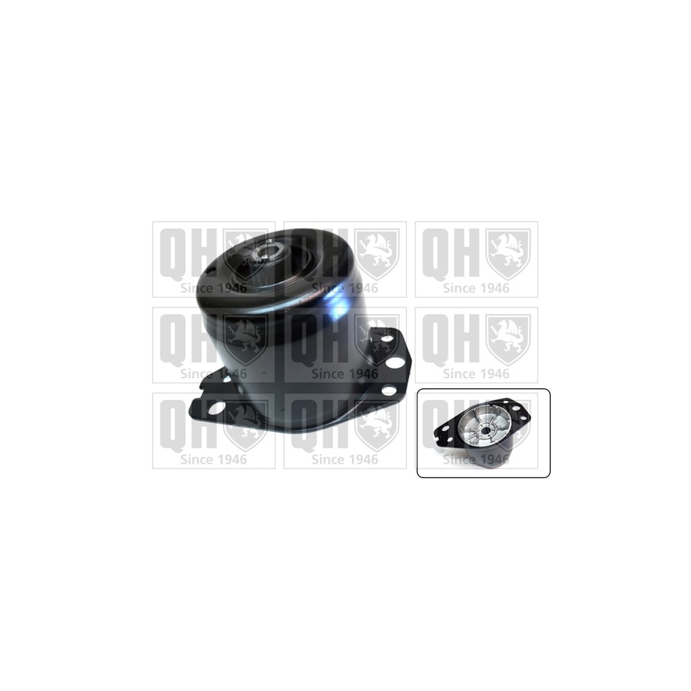 Image for QH EM3107 Engine Mounting