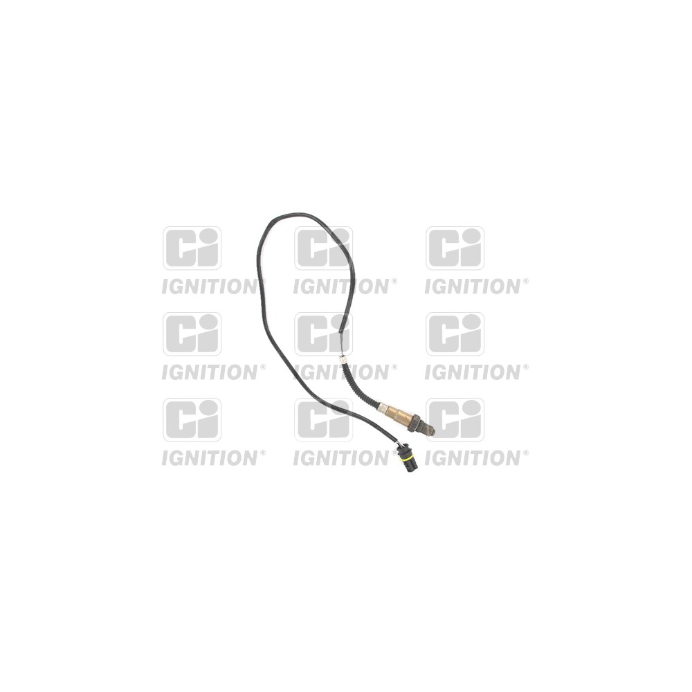 Image for Oxygen Sensor