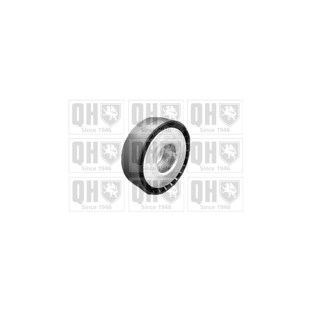 Image for QH QTA1067 Drive Belt Tensioner