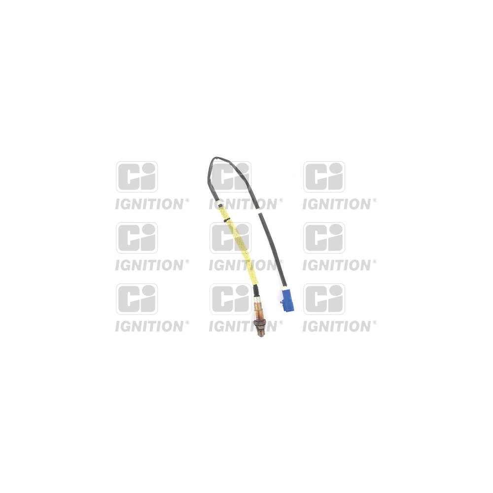 Image for Oxygen Sensor