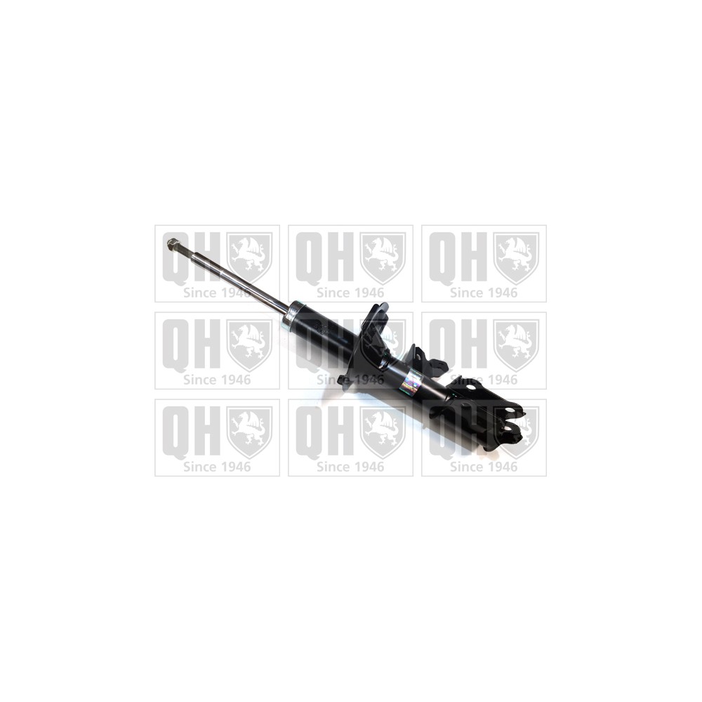 Image for QH QAG878066 Shock Absorber