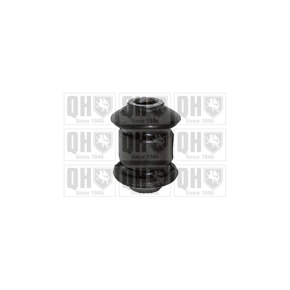 Image for QH EMS8417 Suspension Arm Bush - Front Lower LH & RH (Front)