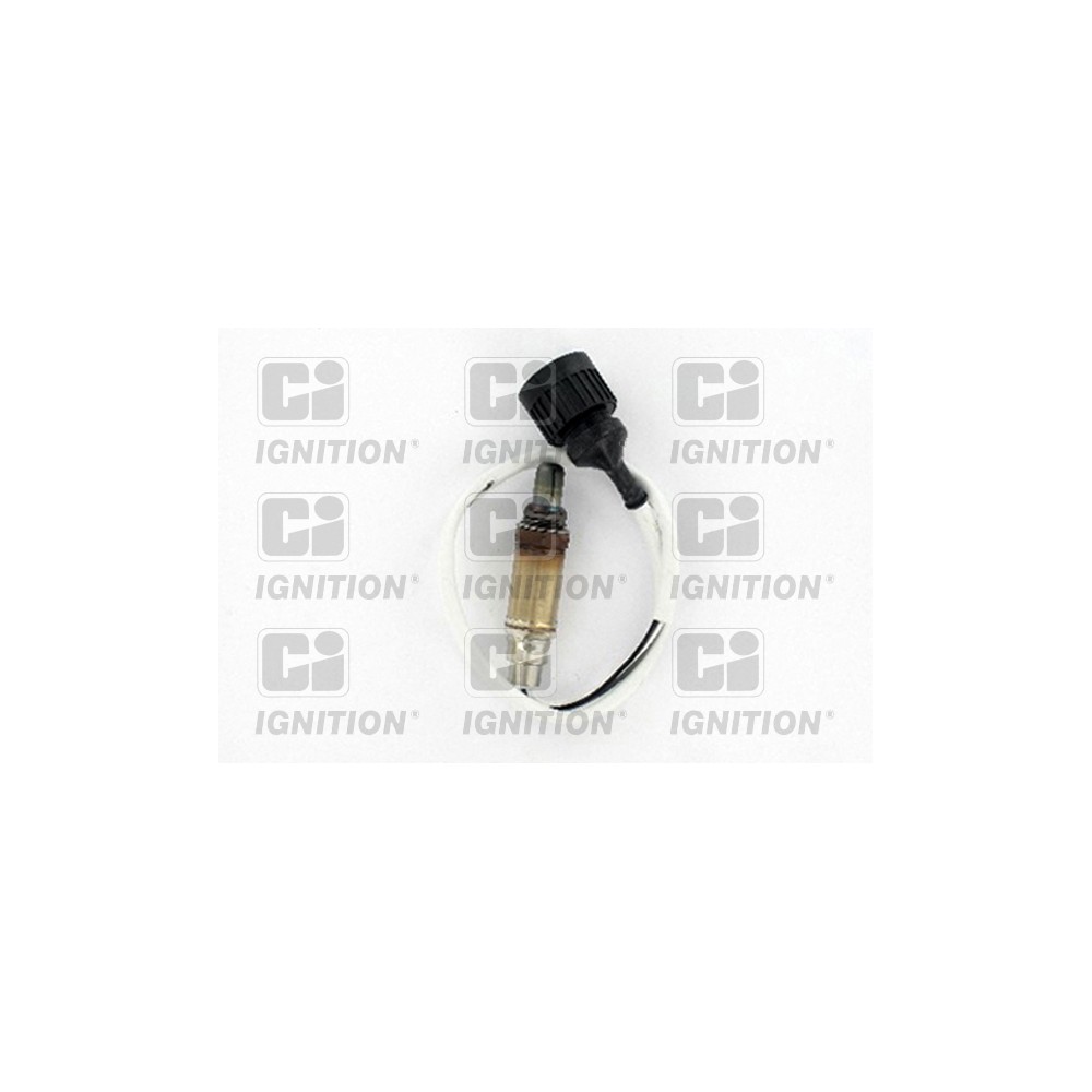 Image for Oxygen Sensor