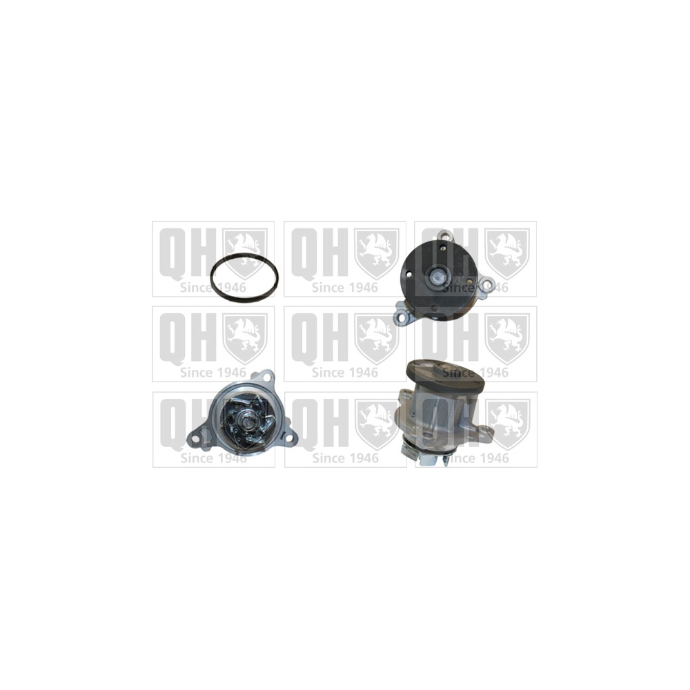 Image for QH QCP3781 Water Pump