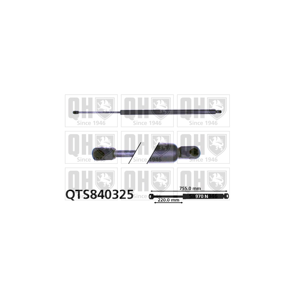 Image for QH QTS840325 Gas Spring