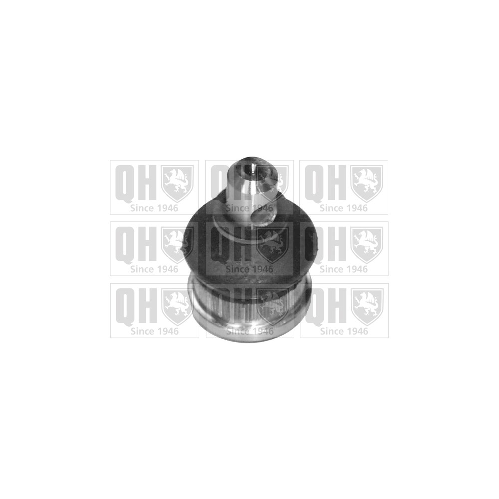 Image for QH QSJ1228S Ball Joint - Front Lower LH & RH