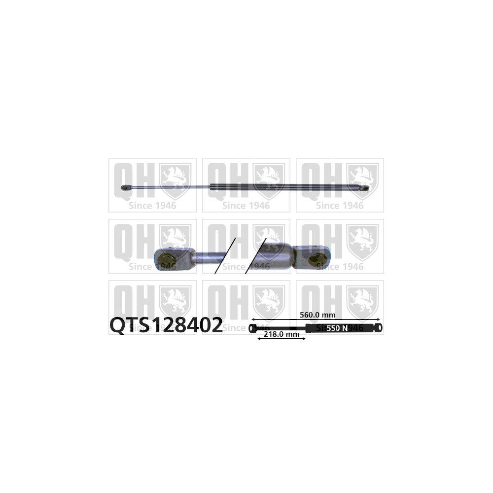 Image for QH QTS128402 Gas Spring