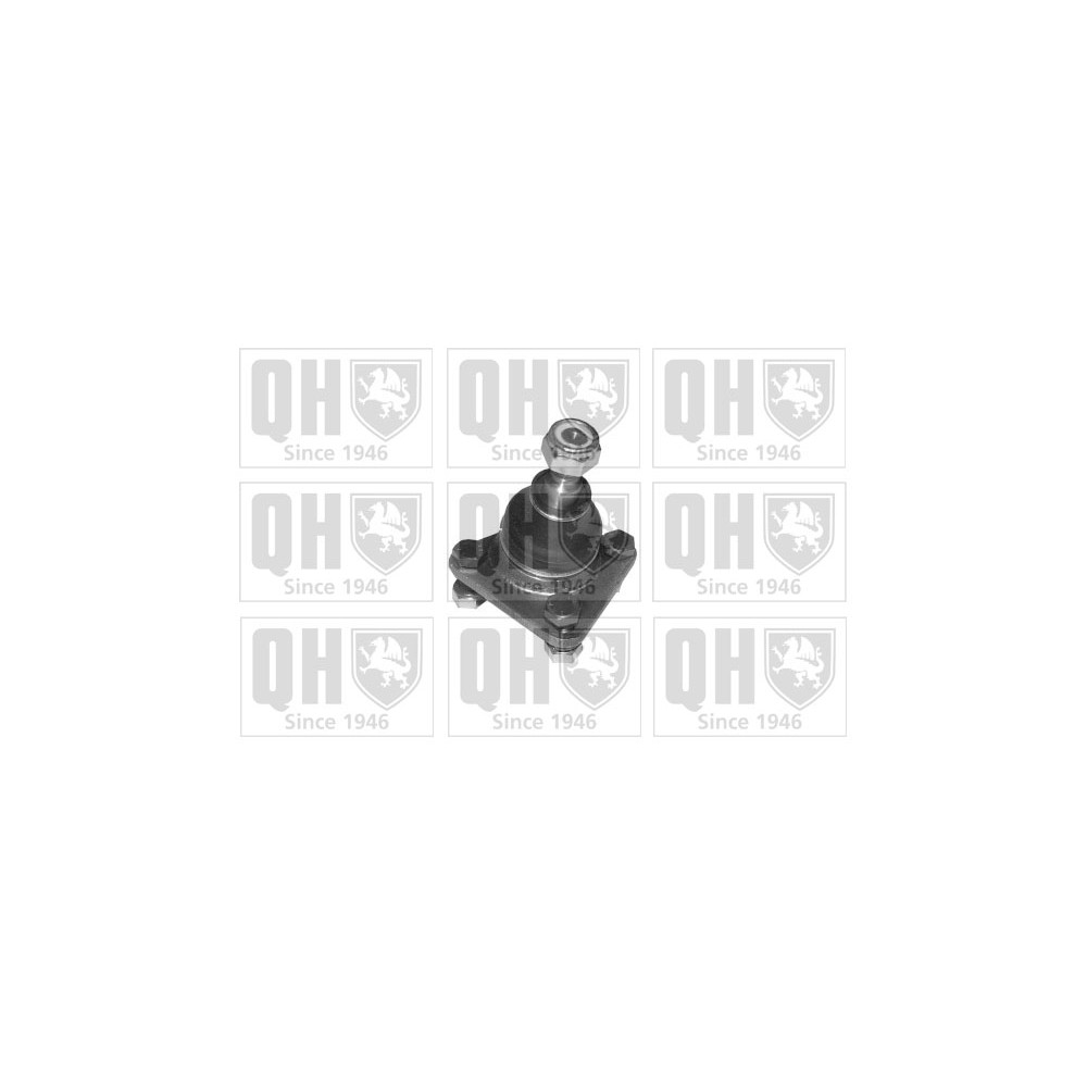 Image for QH QSJ962S Ball Joint - Front Lower LH & RH