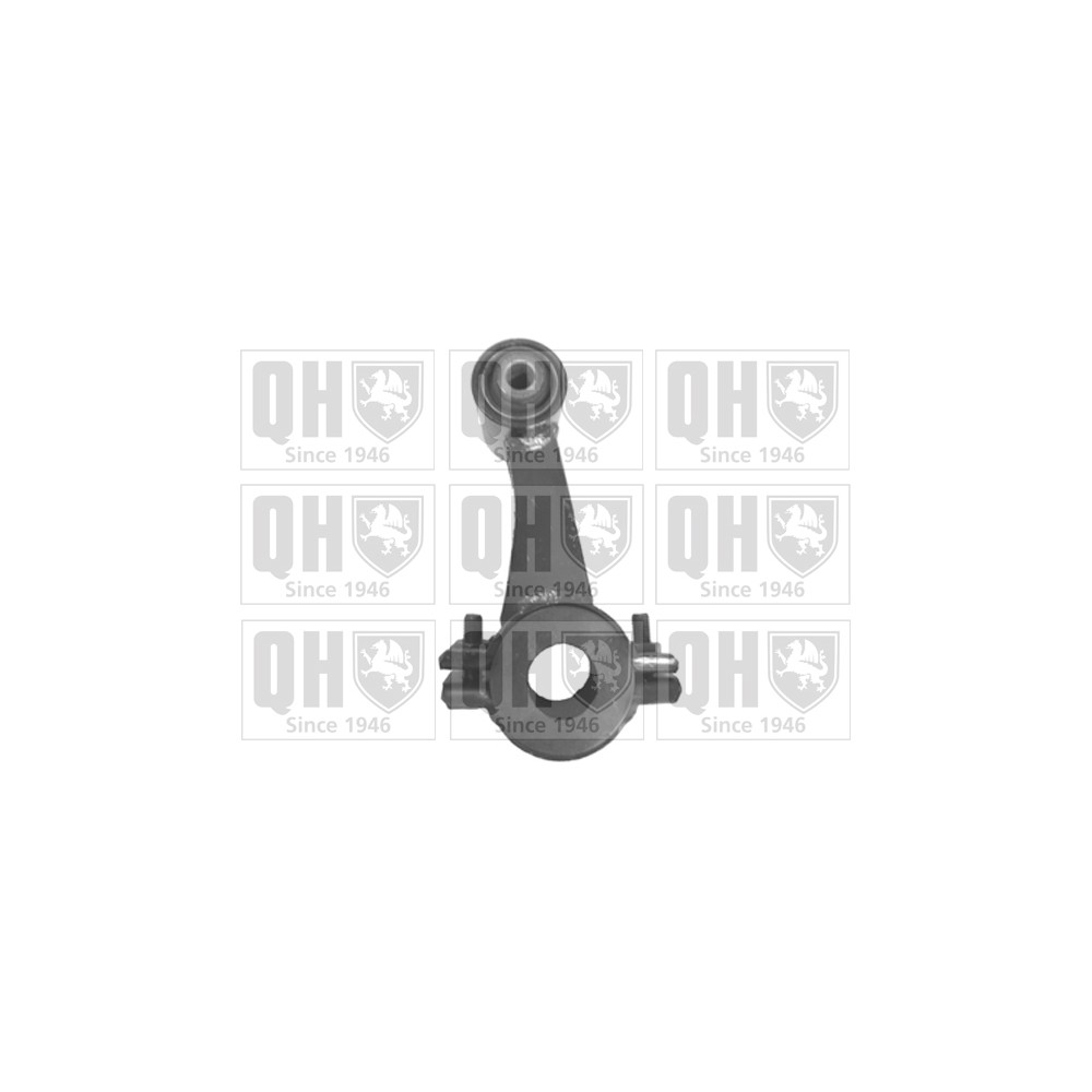 Image for QH QLS3430S Stabiliser Link - Front RH