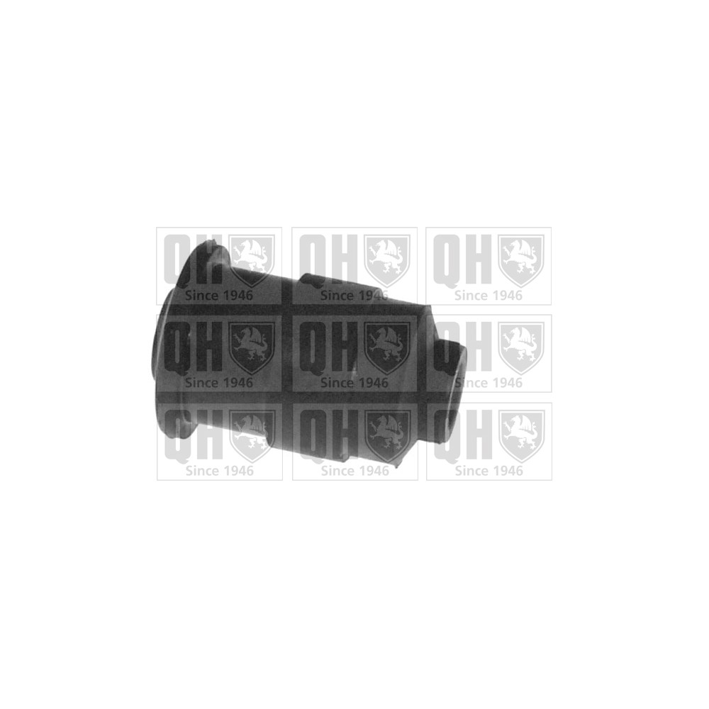 Image for QH EMS8256 Suspension Arm Bush - Front Lower LH & RH (Front)