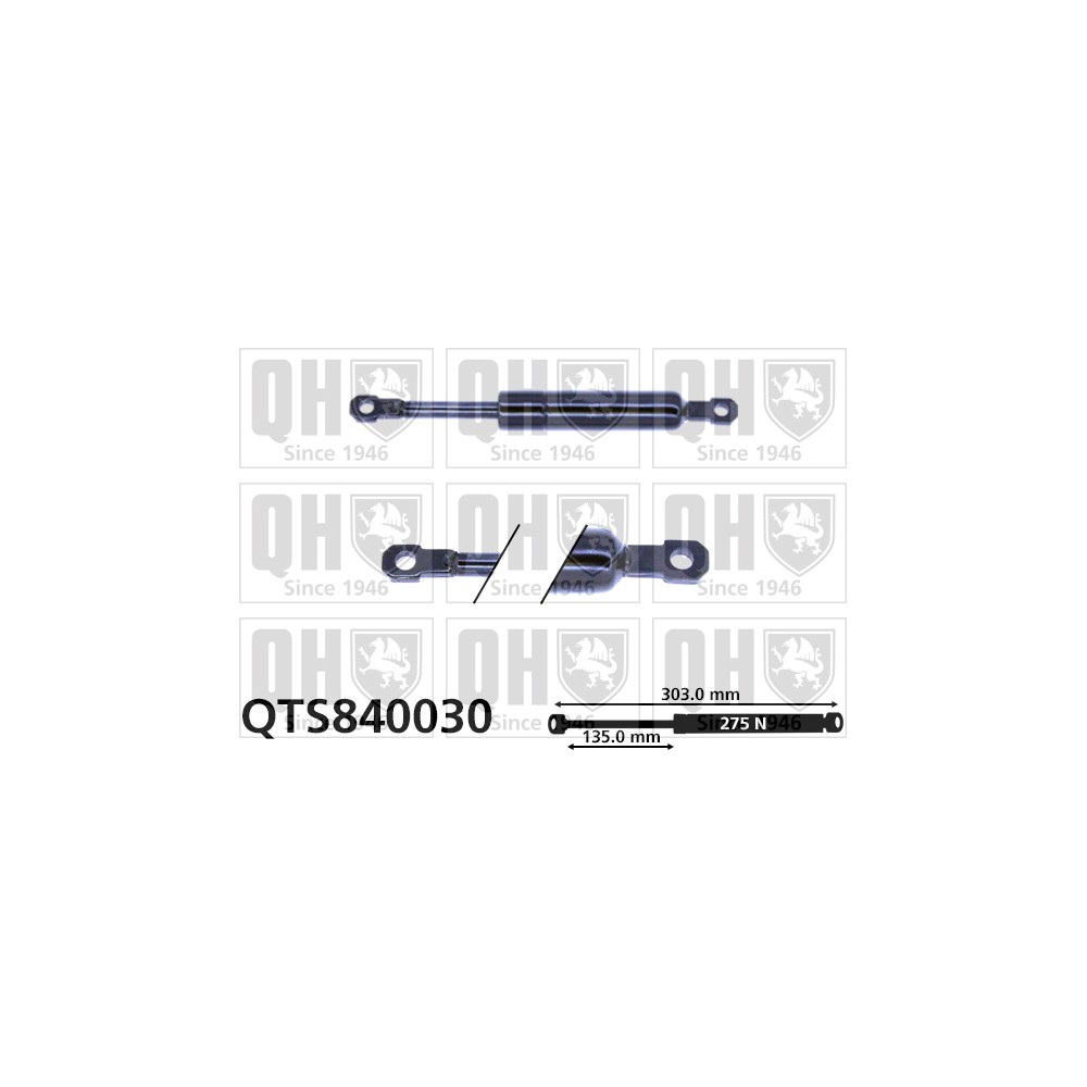 Image for QH QTS840030 Gas Spring