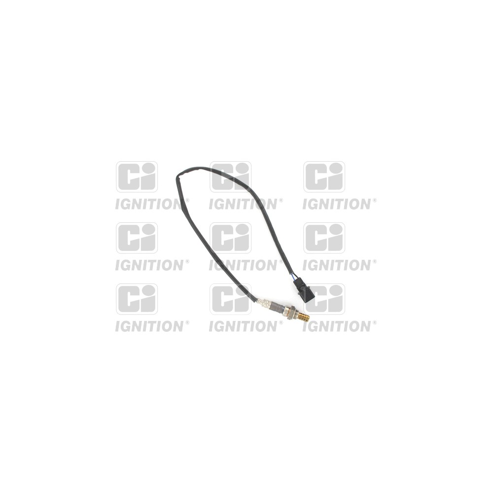 Image for Oxygen Sensor