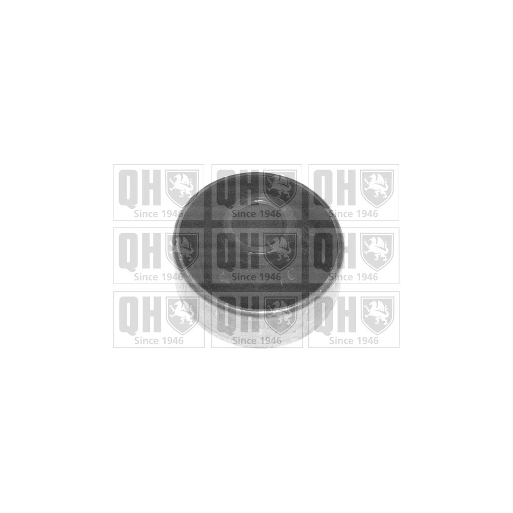 Image for QH EMS2651 Suspension Arm Bush - Front Lower LH & RH (Rear)