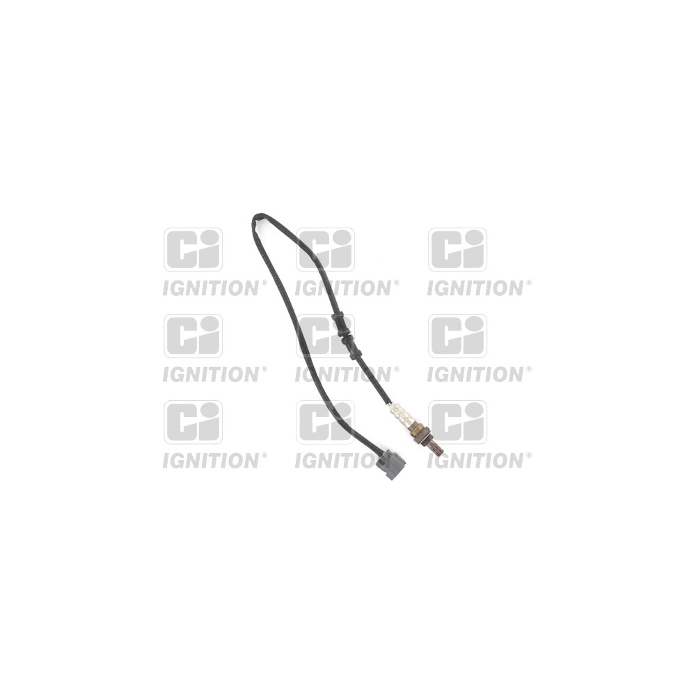 Image for Oxygen Sensor