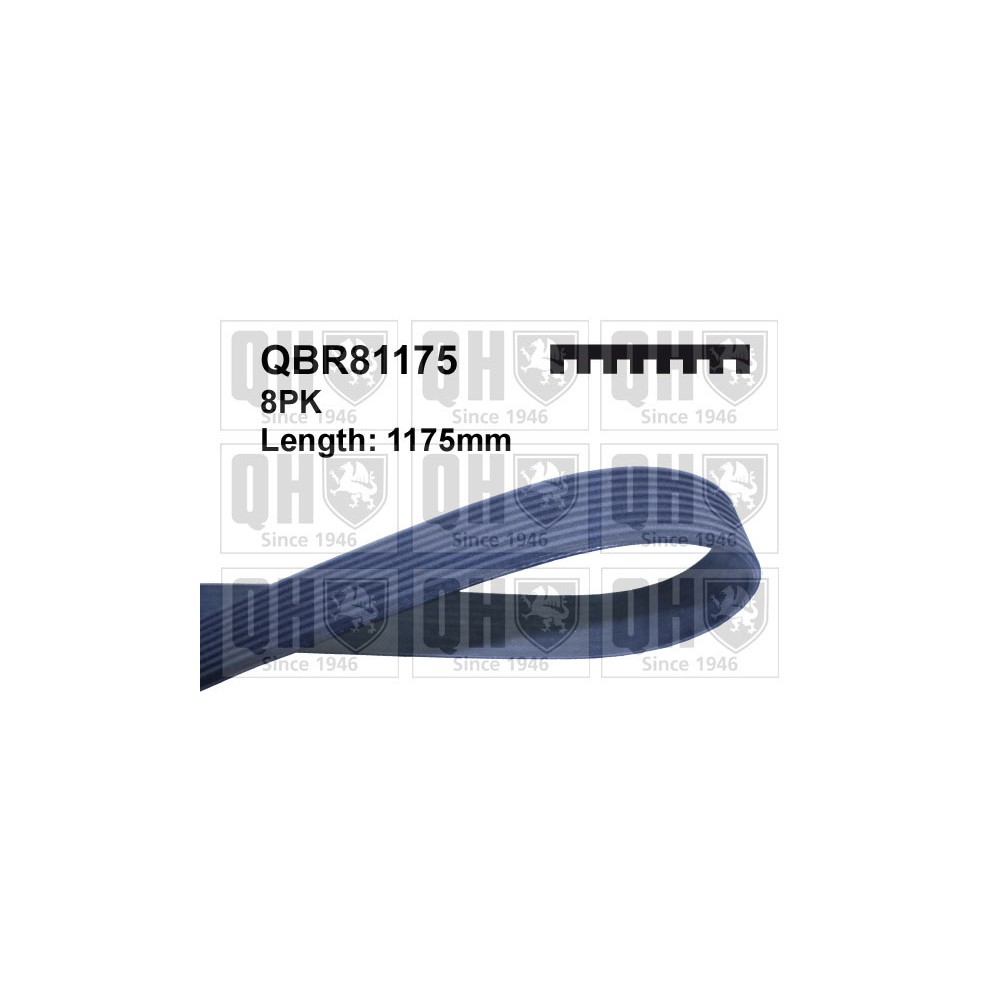 Image for QH QBR81175 Drive Belt