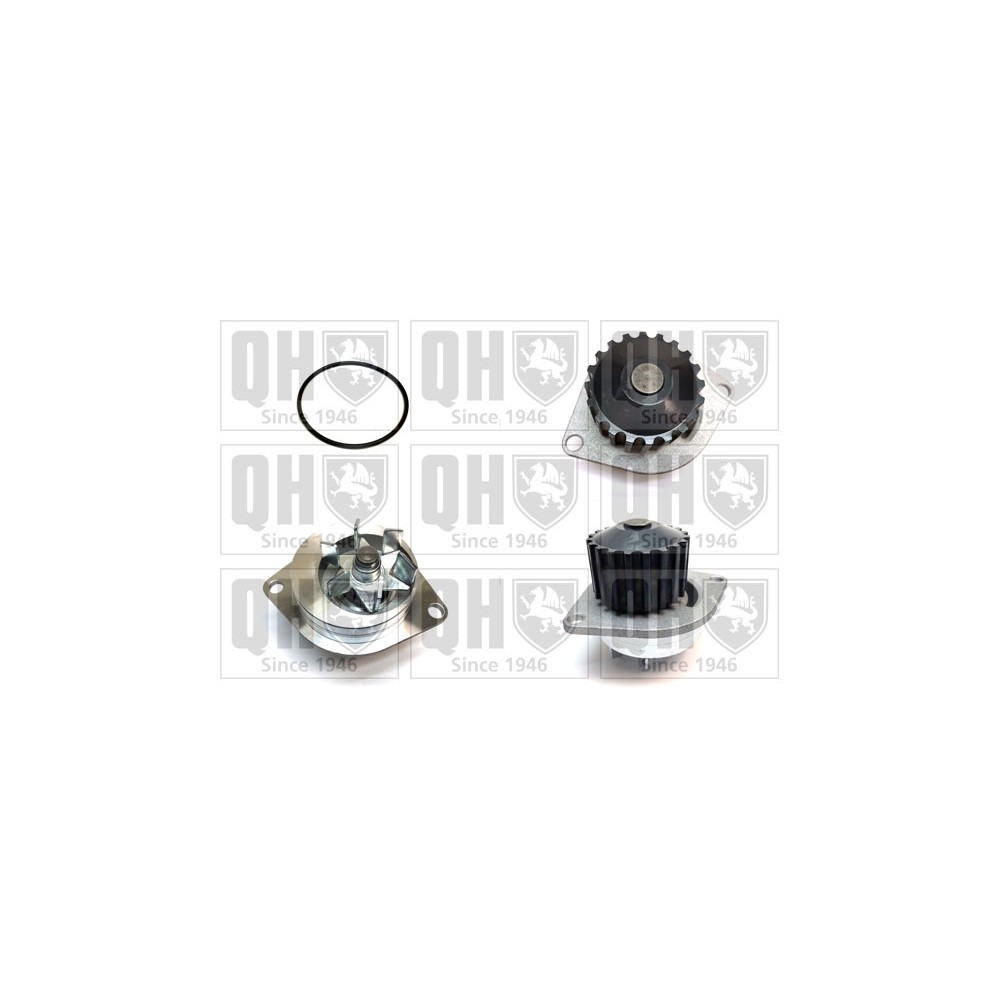 Image for QH QCP3165 Water Pump