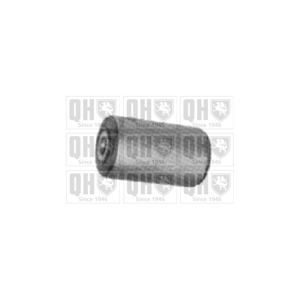 Image for QH EMS8132 Suspension Arm Bush - Front Lower LH & RH (Outer)