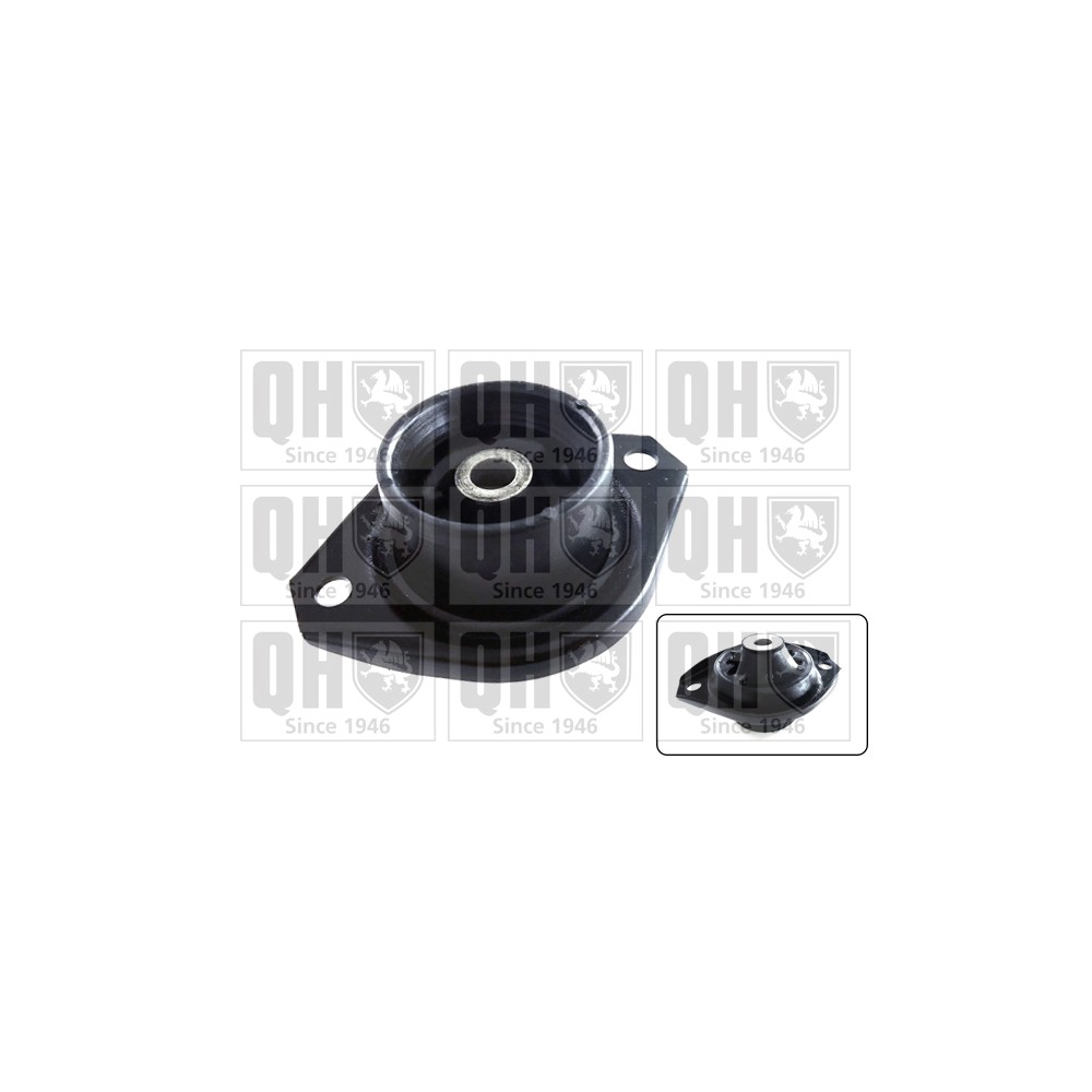 Image for QH EM4214 Engine Mounting