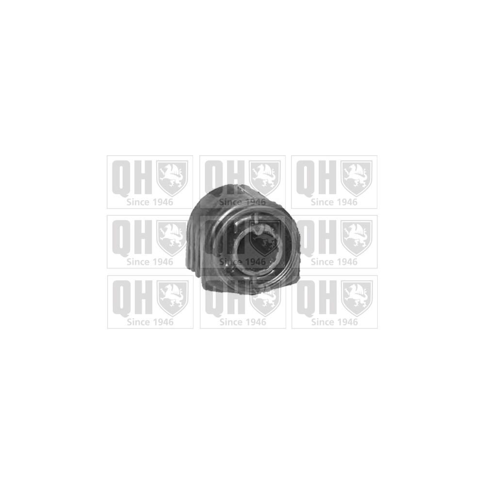 Image for QH EMS8476 Suspension Arm Bush - Front Lower RH (Rear)