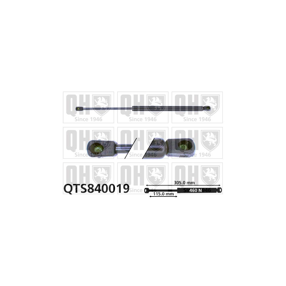 Image for QH QTS840019 Gas Spring