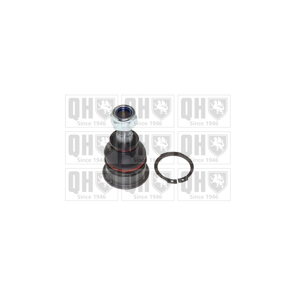 Image for QH QSJ3610S Ball Joint - Front Lower LH & RH