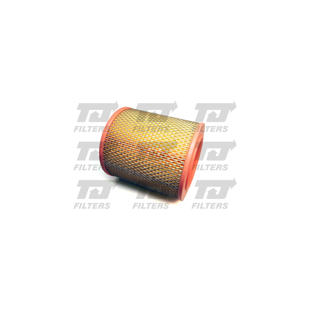 Image for TJ QFA0175 Air Filter