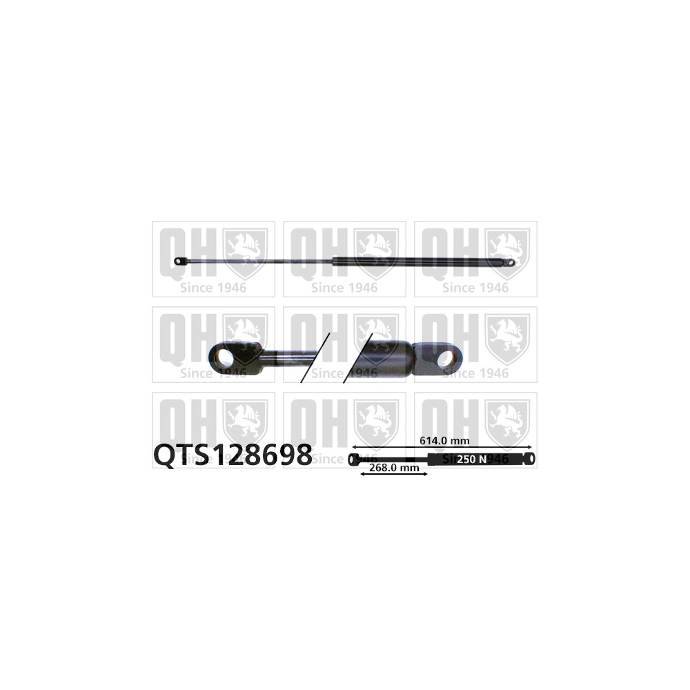 Image for QH QTS128698 Gas Spring