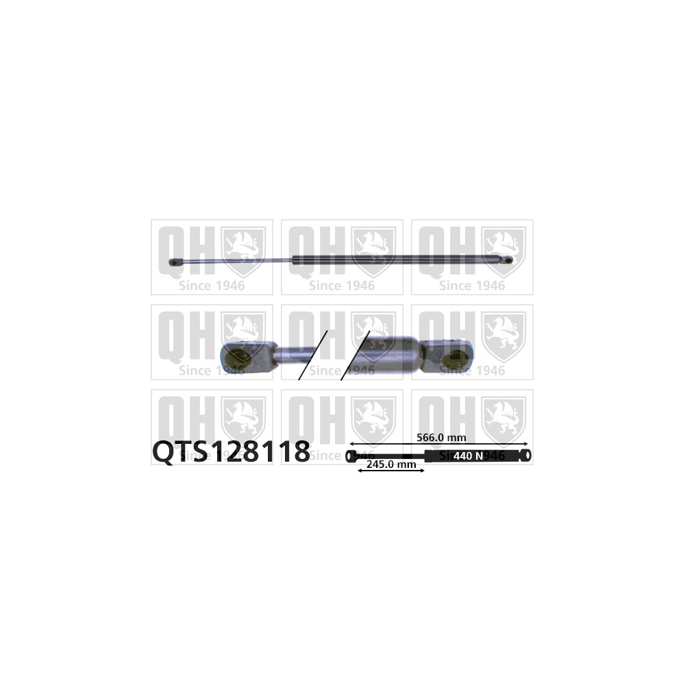 Image for QH QTS128118 Gas Spring