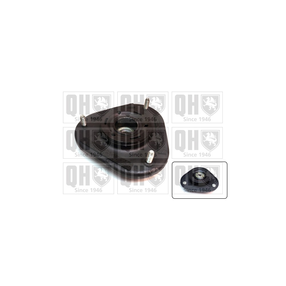 Image for QH EMA4944 Top Strut Mounting- inc Bearing