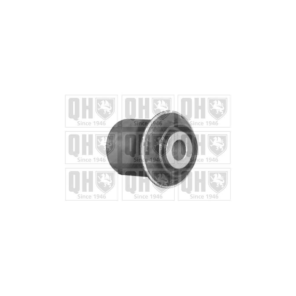 Image for QH EMS8413 Suspension Arm Bush - Front Lower LH & RH (Rear)