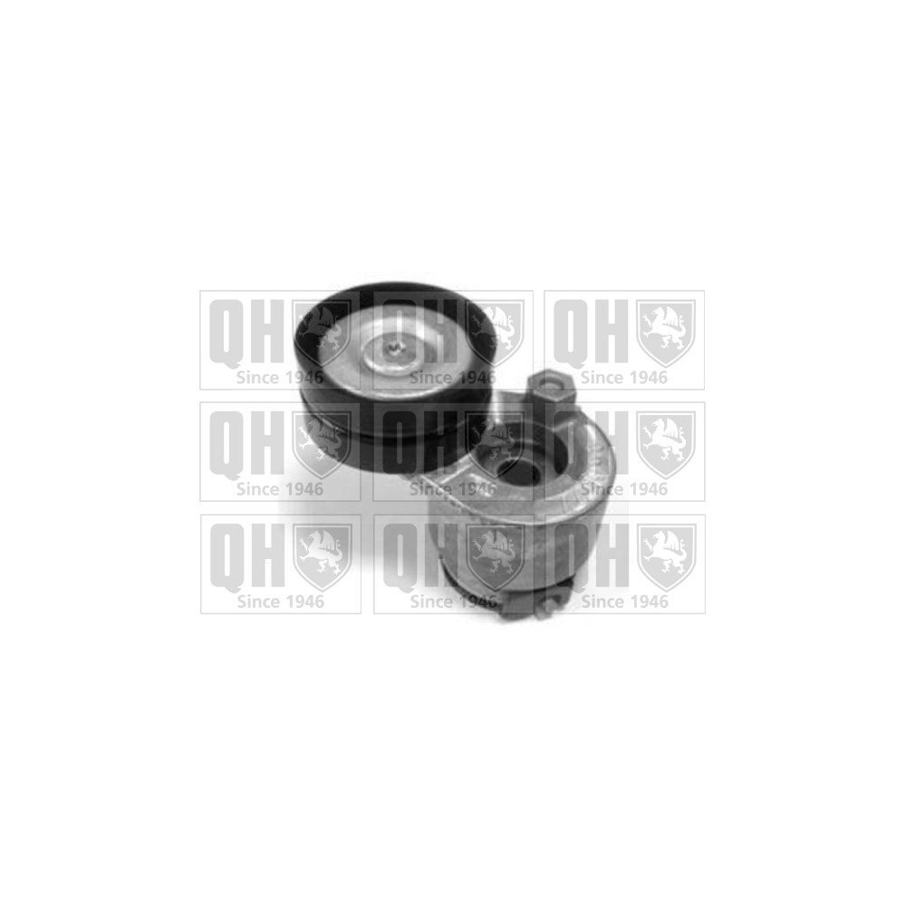 Image for QH QTA1218 DRIVE BELT TENSIONER