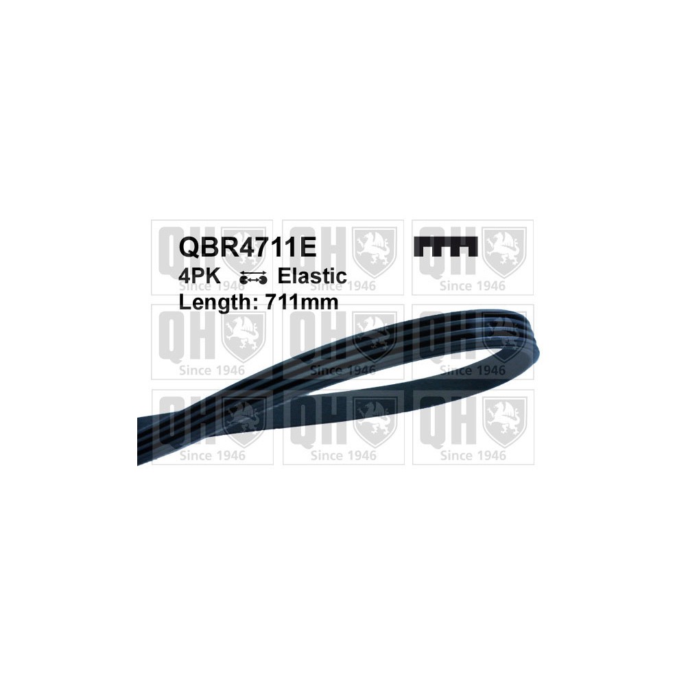 Image for QH QBR4711E Drive Belt