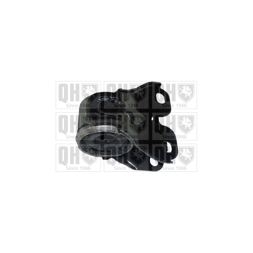 Image for QH EMS8445 Suspension Arm Bush - Front Lower LH (Rear)