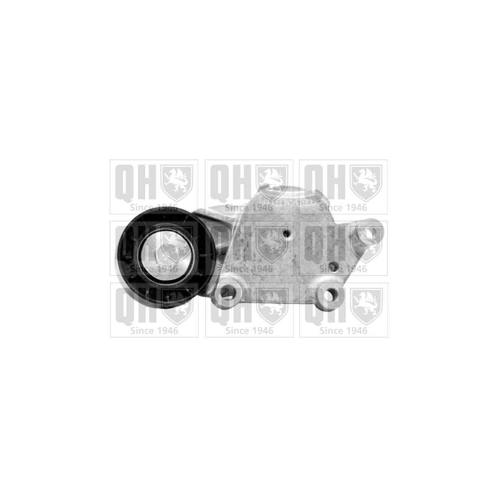 Image for QH QTA1380 DRIVE BELT TENSIONER