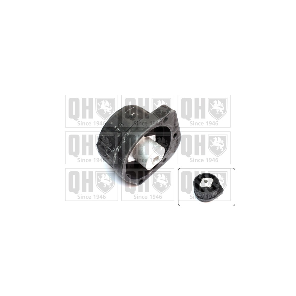 Image for QH EM4677 Engine Mounting