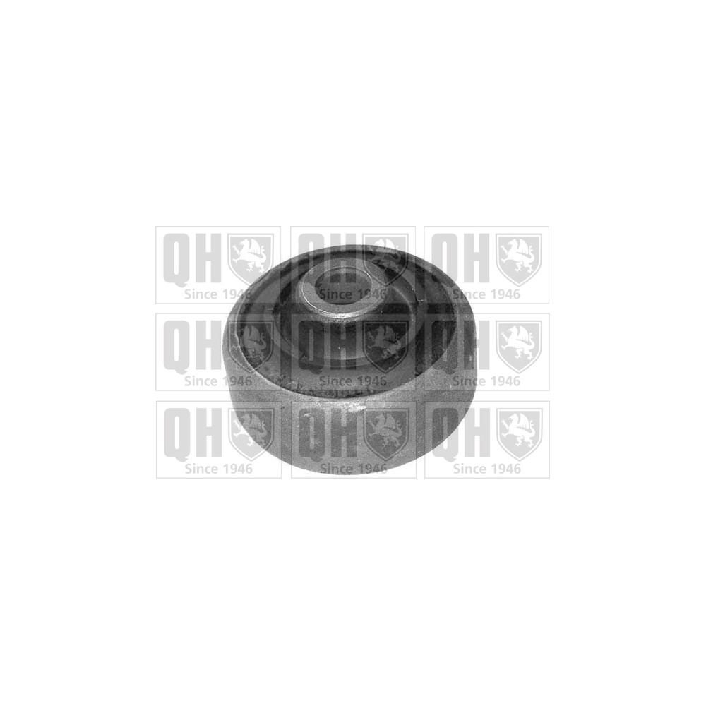 Image for QH EMS2646 Suspension Arm Bush - Front Lower LH & RH (Rear)