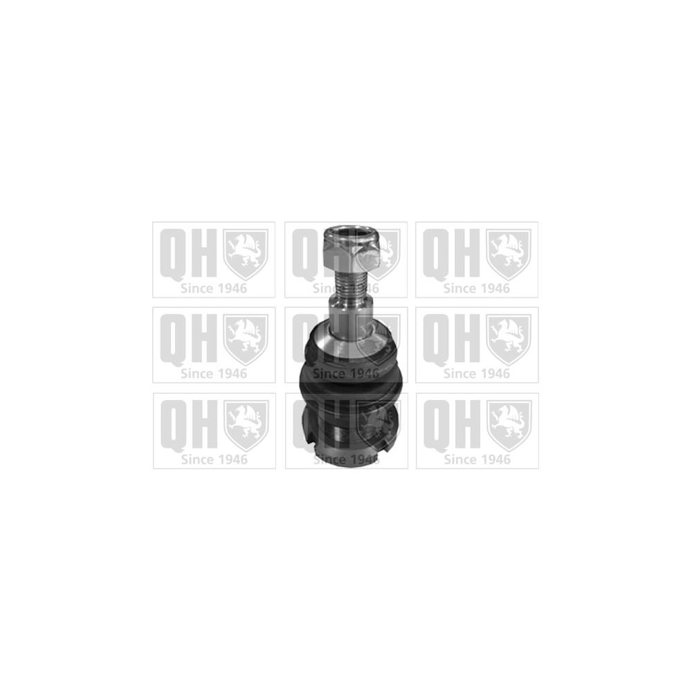 Image for QH QSJ3432S Ball Joint - Rear Upper LH & RH