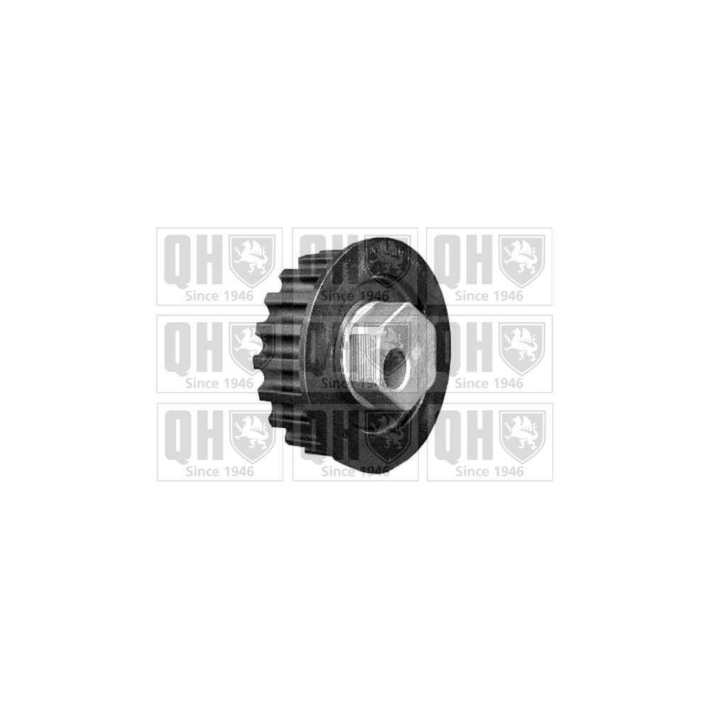 Image for QH QTT242 Timing Belt Tensioner