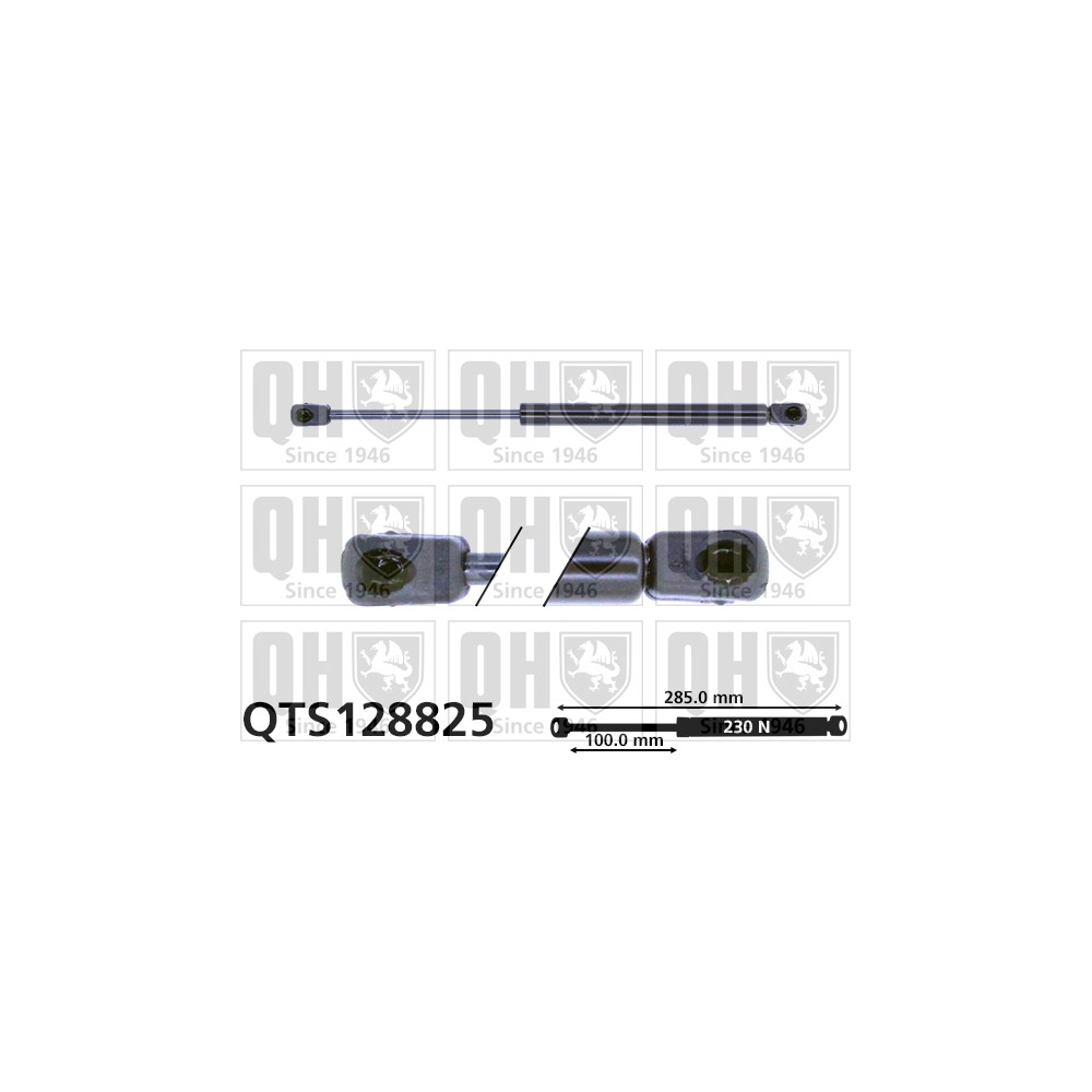 Image for QH QTS128825 Gas Spring