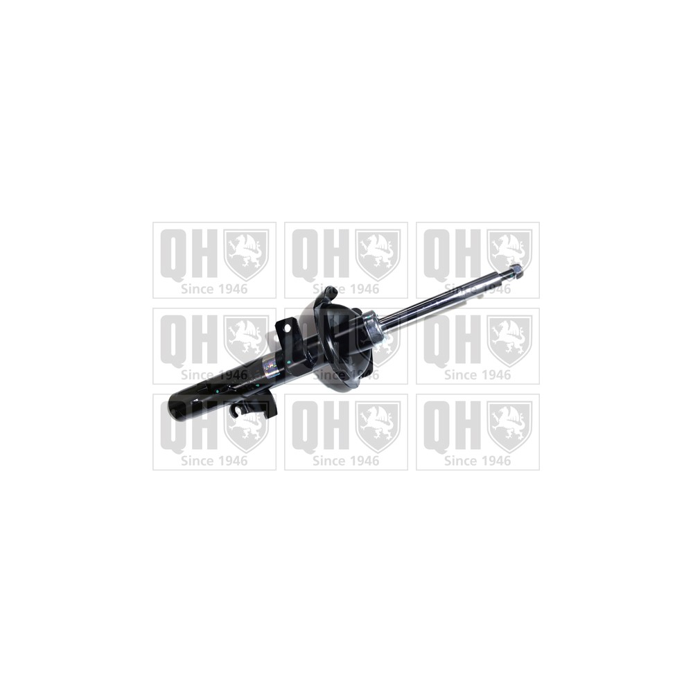 Image for QH QAG181074 Shock Absorber